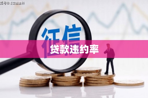 资兴贷款违约率