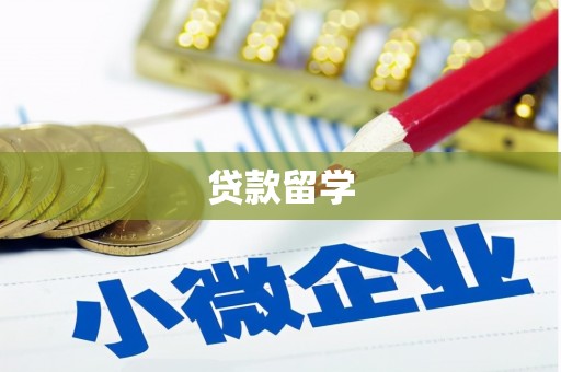资兴贷款留学