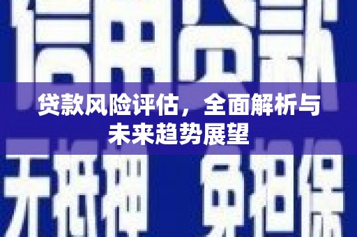 资兴贷款风险评估，全面解析与未来趋势展望
