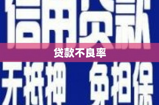 资兴贷款不良率