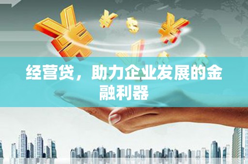 资兴经营贷，助力企业发展的金融利器