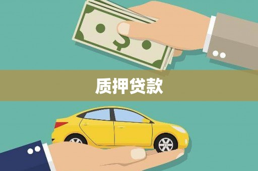 资兴质押贷款