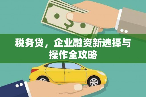 资兴税务贷，企业融资新选择与操作全攻略
