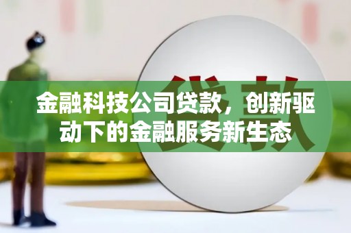 资兴金融科技公司贷款，创新驱动下的金融服务新生态