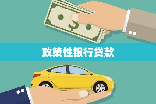 资兴政策性银行贷款
