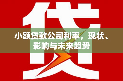 资兴小额贷款公司利率，现状、影响与未来趋势