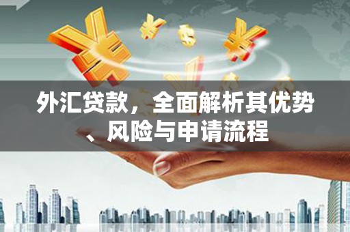 资兴外汇贷款，全面解析其优势、风险与申请流程