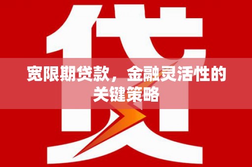 资兴宽限期贷款，金融灵活性的关键策略