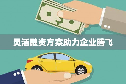 资兴灵活融资方案助力企业腾飞