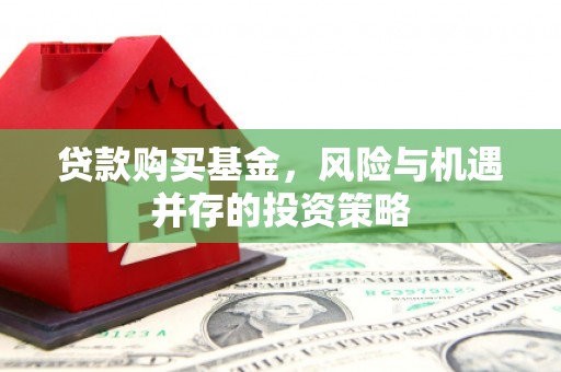 资兴贷款购买基金，风险与机遇并存的投资策略