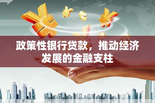 资兴政策性银行贷款，推动经济发展的金融支柱