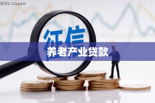 资兴养老产业贷款