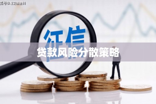 资兴贷款风险分散策略