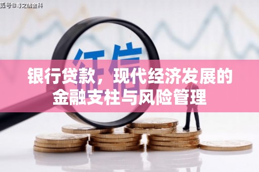 资兴银行贷款，现代经济发展的金融支柱与风险管理