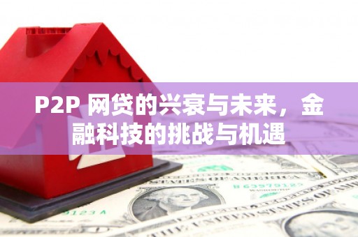资兴P2P 网贷的兴衰与未来，金融科技的挑战与机遇