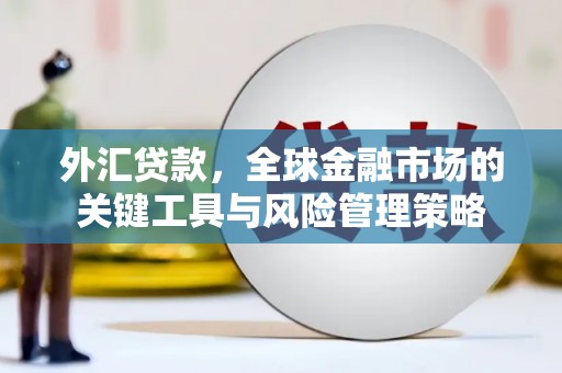 资兴外汇贷款，全球金融市场的关键工具与风险管理策略