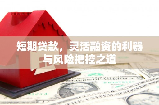资兴短期贷款，灵活融资的利器与风险把控之道