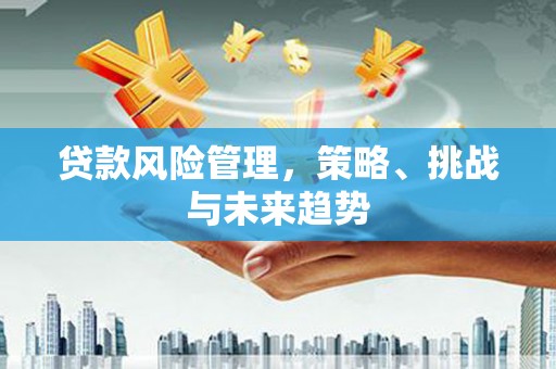 资兴贷款风险管理，策略、挑战与未来趋势