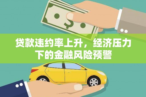 资兴贷款违约率上升，经济压力下的金融风险预警
