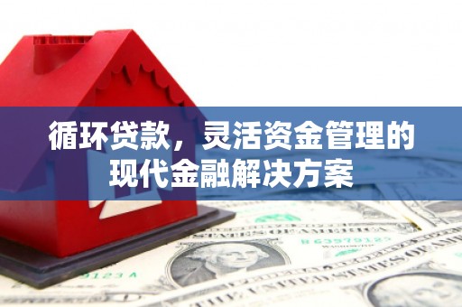 资兴循环贷款，灵活资金管理的现代金融解决方案