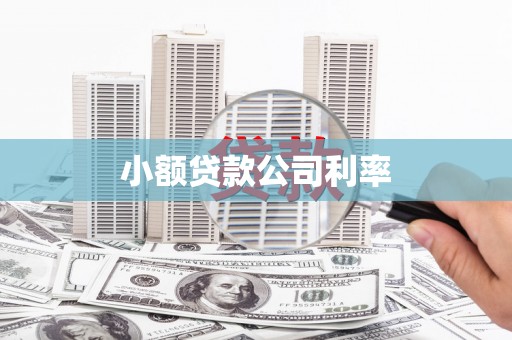 资兴小额贷款公司利率