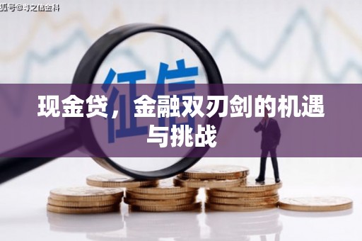 资兴现金贷，金融双刃剑的机遇与挑战