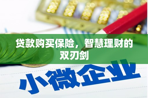 资兴贷款购买保险，智慧理财的双刃剑