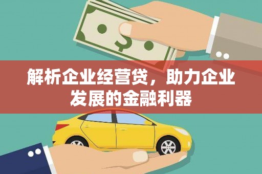 资兴解析企业经营贷，助力企业发展的金融利器