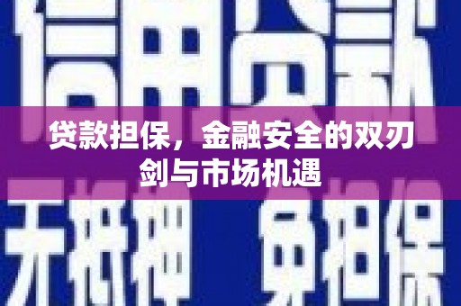 资兴贷款担保，金融安全的双刃剑与市场机遇