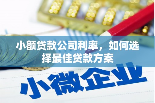 资兴小额贷款公司利率，如何选择最佳贷款方案