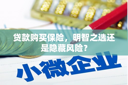 资兴贷款购买保险，明智之选还是隐藏风险？