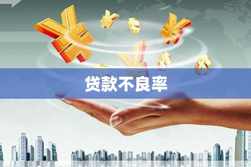 资兴贷款不良率