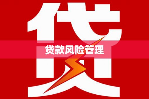 资兴贷款风险管理