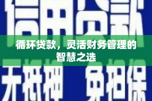 资兴循环贷款，灵活财务管理的智慧之选