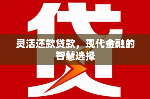 资兴灵活还款贷款，现代金融的智慧选择
