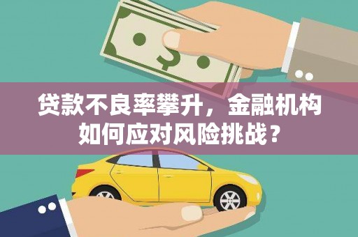 资兴贷款不良率攀升，金融机构如何应对风险挑战？