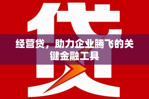 资兴经营贷，助力企业腾飞的关键金融工具
