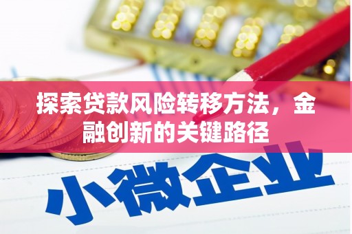 资兴探索贷款风险转移方法，金融创新的关键路径