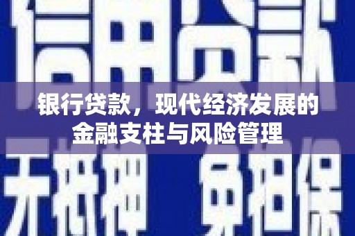 资兴银行贷款，现代经济发展的金融支柱与风险管理