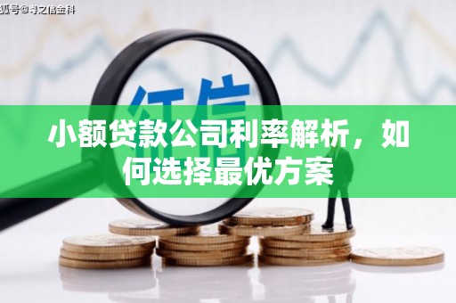 资兴小额贷款公司利率解析，如何选择最优方案