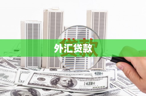 资兴外汇贷款
