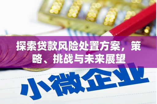 资兴探索贷款风险处置方案，策略、挑战与未来展望