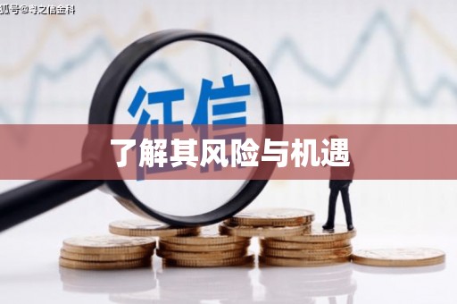 资兴了解其风险与机遇