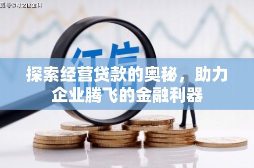 资兴探索经营贷款的奥秘，助力企业腾飞的金融利器