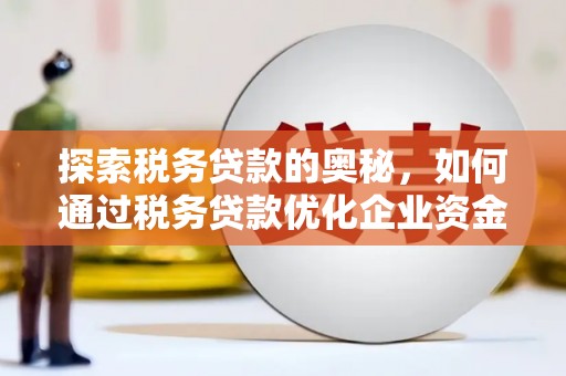 资兴探索税务贷款的奥秘，如何通过税务贷款优化企业资金流