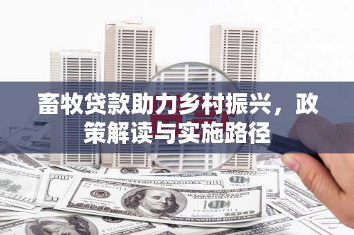 资兴畜牧贷款助力乡村振兴，政策解读与实施路径