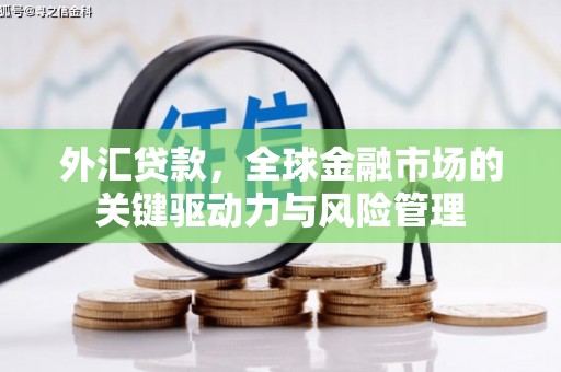 资兴外汇贷款，全球金融市场的关键驱动力与风险管理