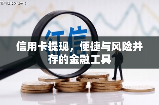 资兴信用卡提现，便捷与风险并存的金融工具