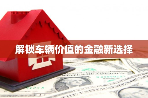 资兴解锁车辆价值的金融新选择