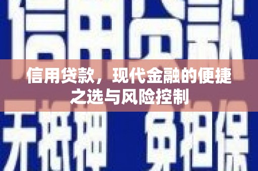 资兴信用贷款，现代金融的便捷之选与风险控制